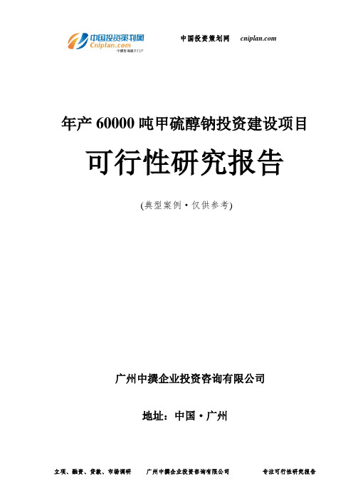 年产60000吨甲硫醇钠投资建设项目可行性研究报告-广州中撰咨询