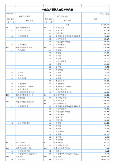 一般公共预算支出经济分类表