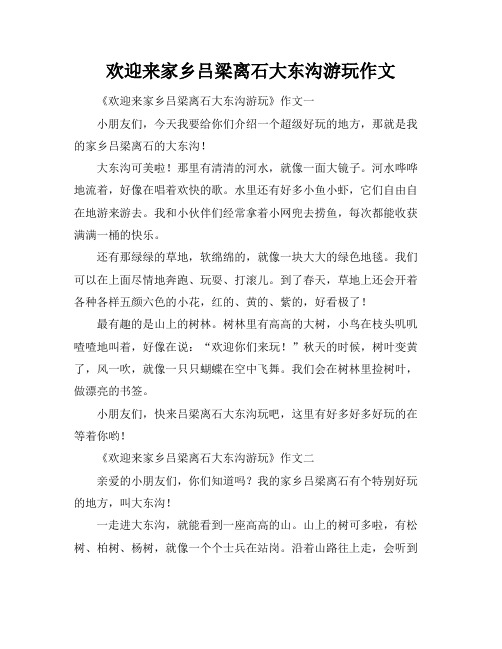 欢迎来家乡吕梁离石大东沟游玩作文