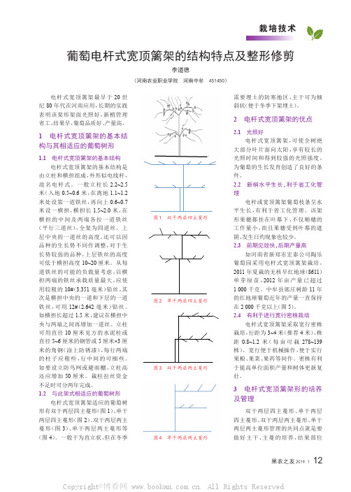 葡萄电杆式宽顶篱架的结构特点及整形修剪