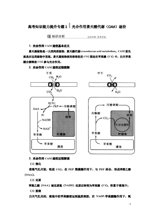 高考知识能力提升专题2   光合作用景天酸代谢(CAM)途径