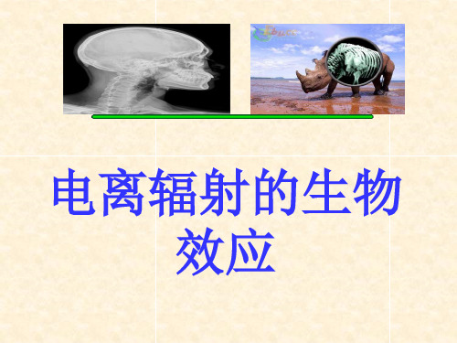 电离辐射的生物效应