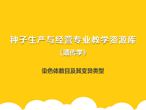 染色体数目及其变异类型ppt实用资料