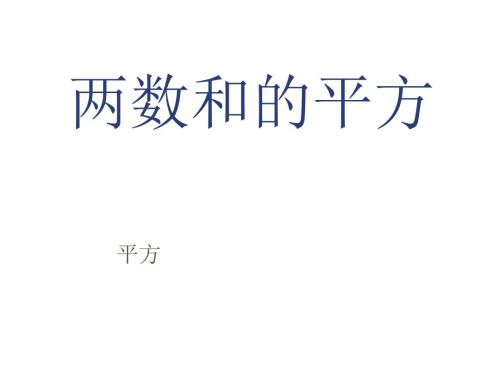 八年级数学平方和公式(新201907)