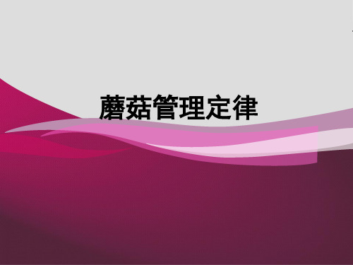 蘑菇管理定律