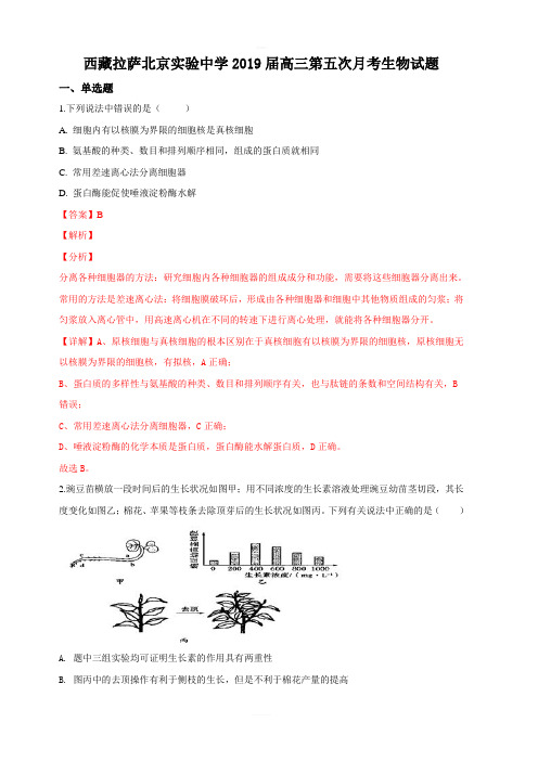 西藏拉萨北京实验中学2019届高三下学期第五次月考生物试卷附答案解析