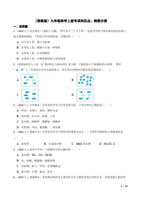 (浙教版)九年级科学上册专项知识点：物质分类.doc