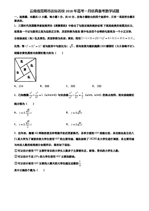 云南省昆明市达标名校2018年高考一月仿真备考数学试题含解析