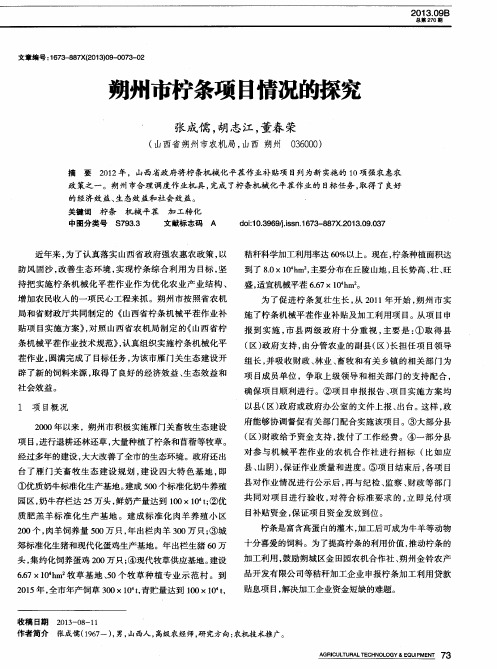 朔州市柠条项目情况的探究