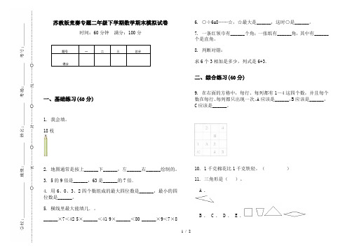 苏教版竞赛专题二年级下学期数学期末模拟试卷