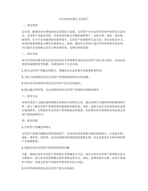 可行性研究报告 无形资产