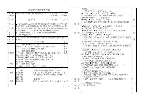 植物体的结构层次17