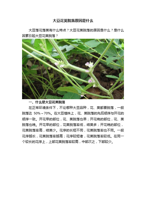 大豆花荚脱落原因是什么