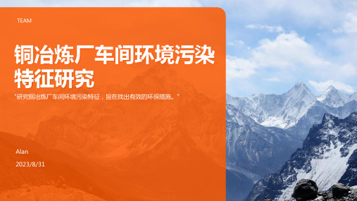 2023年铜冶炼厂车间环境空气污染特征研究及其防治对策方案模板