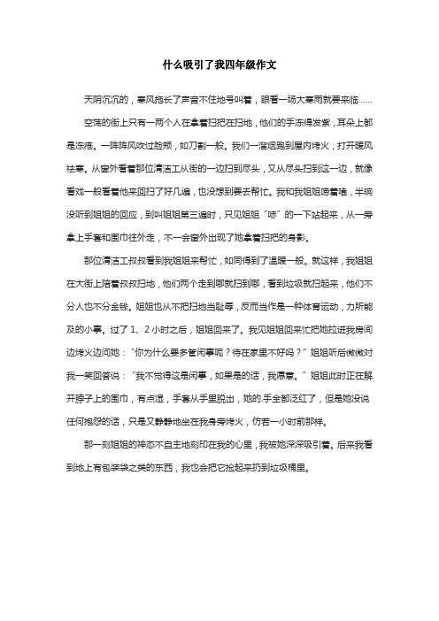 什么吸引了我四年级作文