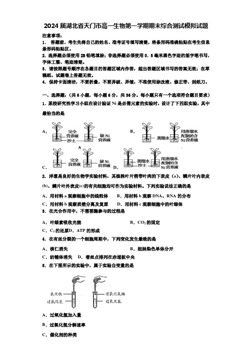 2024届湖北省天门市高一生物第一学期期末综合测试模拟试题含解析