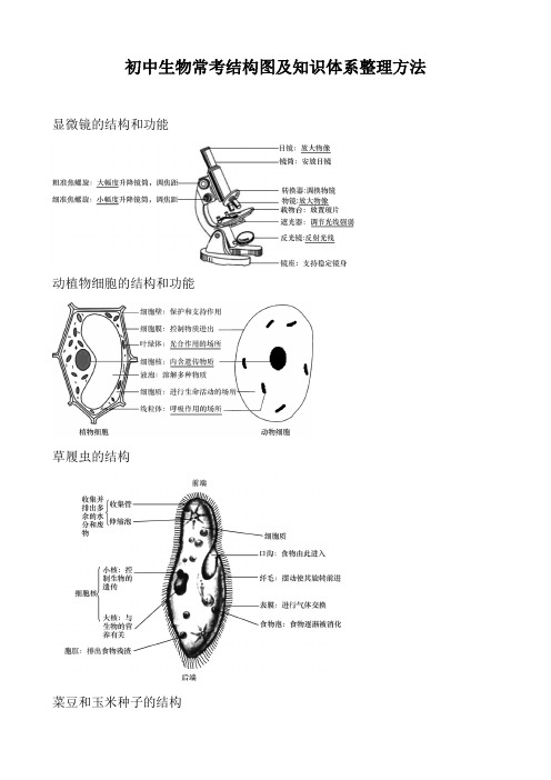 初中生物常考结构图及知识体系整理方法