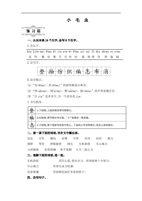 人教部编版二年级下册语文《小毛虫》 第一课时教案