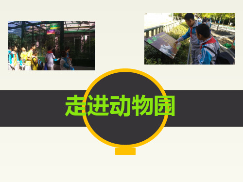 《走进动物园》(课件)小学综合实践活动