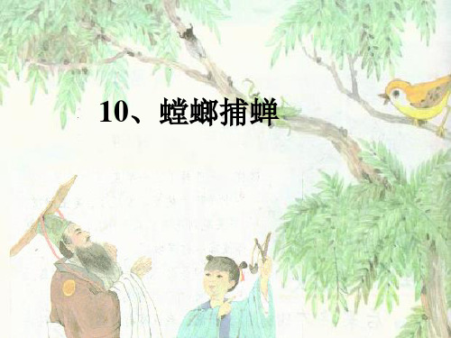 10螳螂捕蝉[1]PPT课件