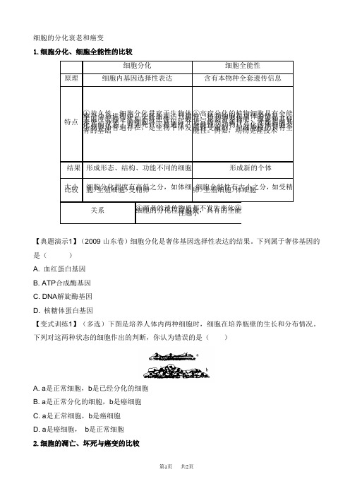 高中生物 细胞的分化衰老和癌变导学案_高一生物教案