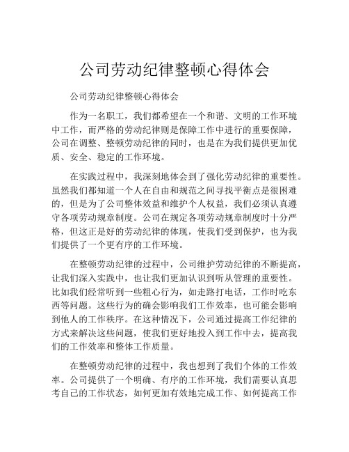 公司劳动纪律整顿心得体会