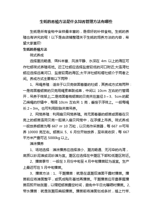 生蚝的养殖方法是什么饲养管理方法有哪些