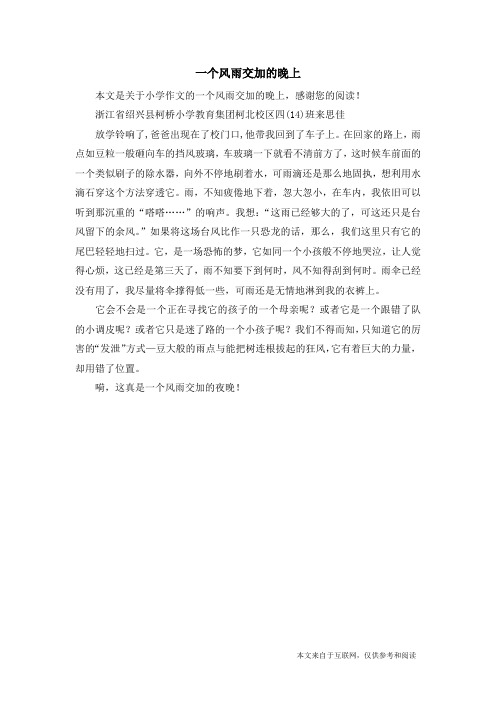 一个风雨交加的晚上_小学作文