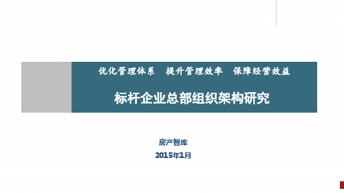 标杆企业总部组织架构研究2015