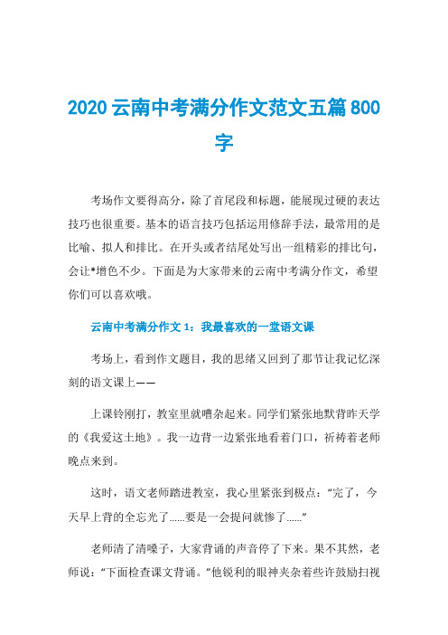 2020云南中考满分作文范文五篇800字