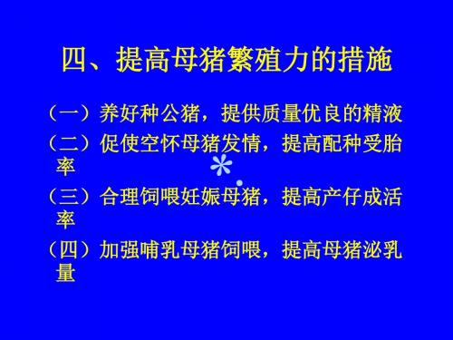 公猪的饲养管理PPT课件