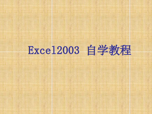 EXCEL2003教程(完整版)