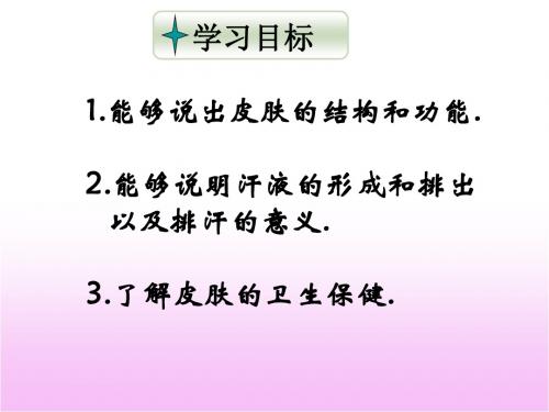 《汗液的形成和排出》教学课件3 济南版