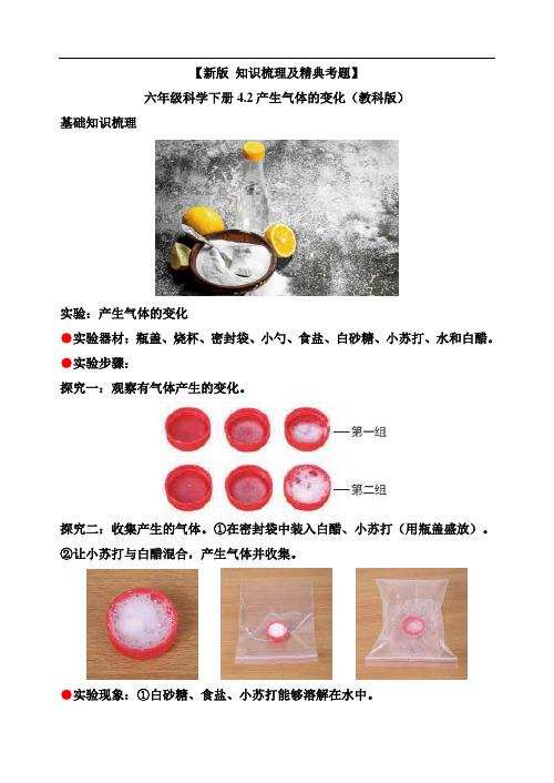 【新版+知识梳理及精典考题】六年级科学下册4-2产生气体的变化(教科版)