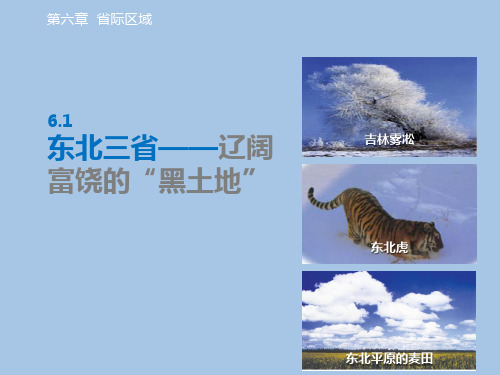 晋教地理八年级下册第六章  6.1 东北三省──辽阔富饶的“黑土地”(共43张PPT)