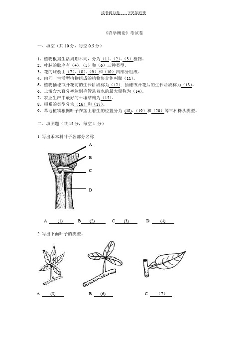 《农学概论》考卷答案