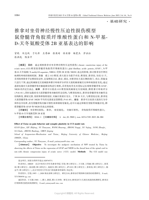 推拿对坐骨神经慢性压迫性损伤模型鼠脊髓背角胶质纤维酸性蛋白和N-甲基-D-天冬氨酸受体2B亚基表达的