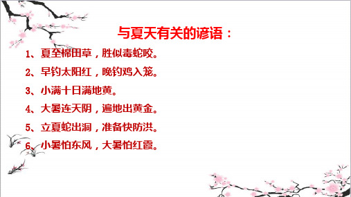 山东省沂源县人教部编版(五四)六年级语文上册第16课《夏天里的成长》课件(共22张PPT)