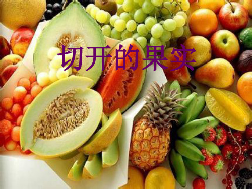 二年级下册美术课件-3.7 切开的果实丨岭南版 (共11张PPT)