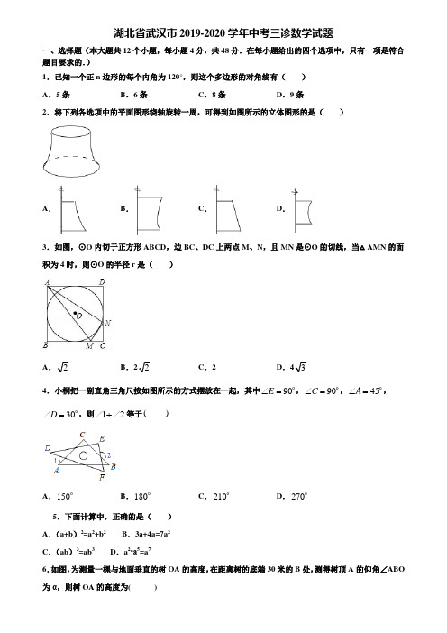 湖北省武汉市2019-2020学年中考三诊数学试题含解析