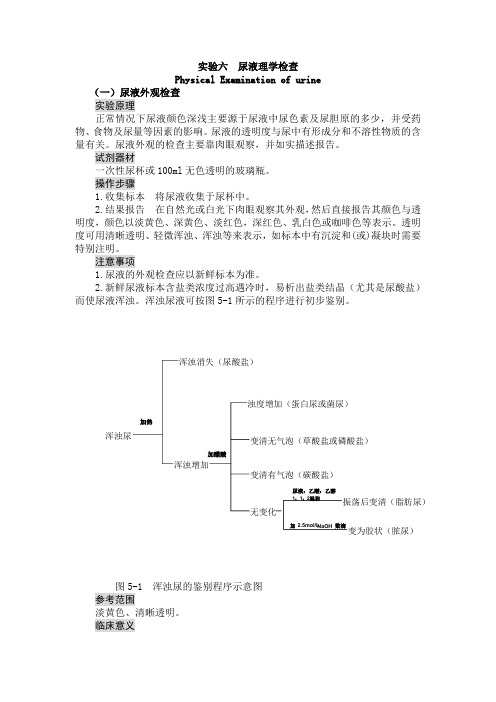 实验六 尿液理学检查.doc