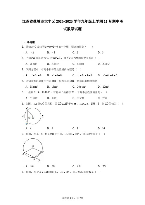 江苏省盐城市大丰区2024-2025学年九年级上学期11月期中考试数学试题