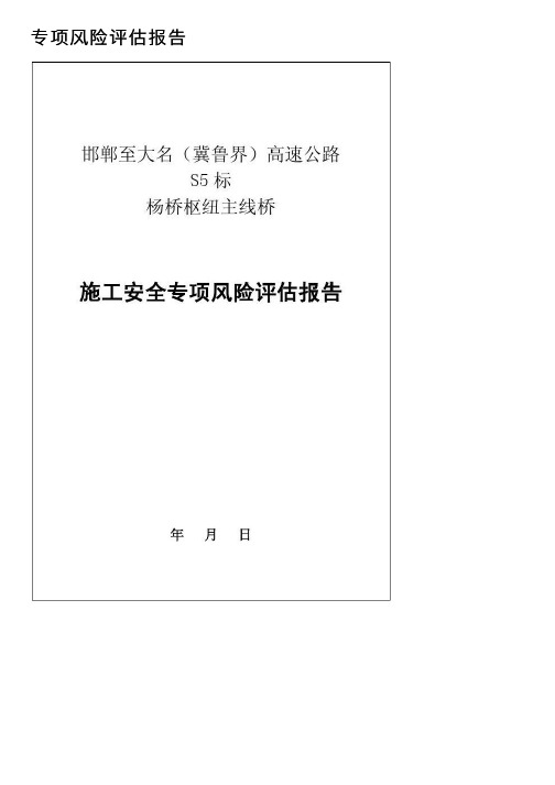 专项风险评估报告