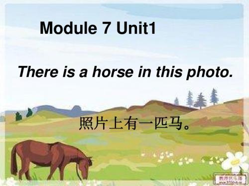 六年级英语Module7Unit1There_is_a_horse_in_this_photo.