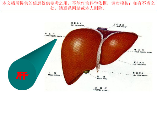 中医基础理论之五脏篇肝培训课件