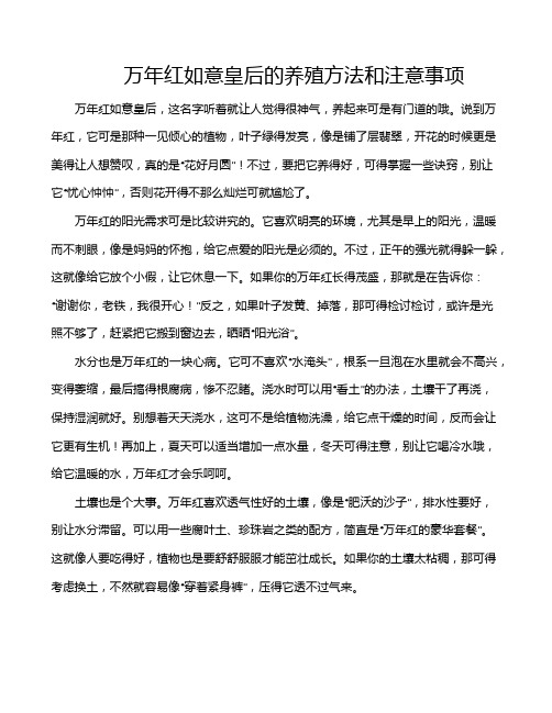 万年红如意皇后的养殖方法和注意事项