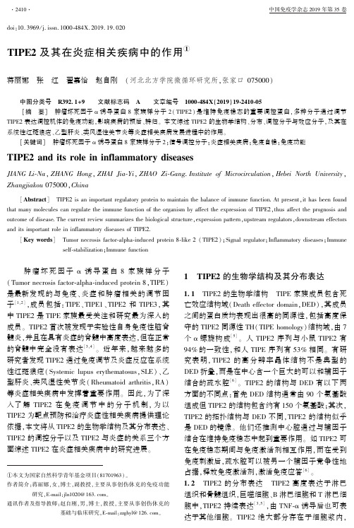 TIPE2及其在炎症相关疾病中的作用