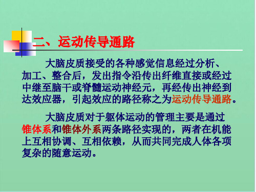 大脑皮质接受的各种感觉信息经过分析