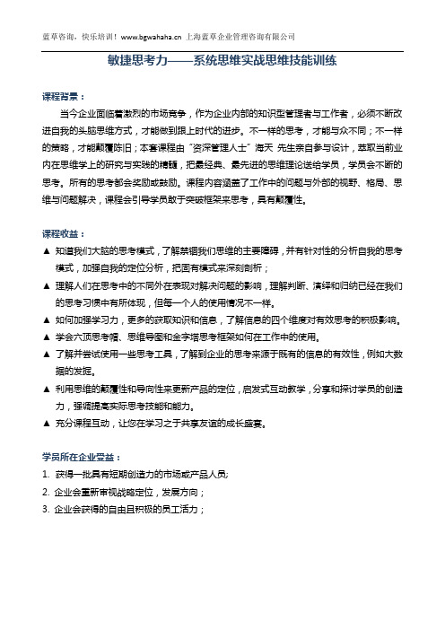 《敏捷思考力——系统思维实战思维技能训练》