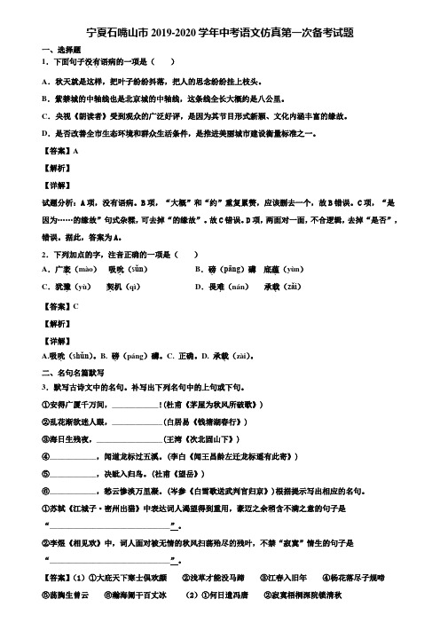 宁夏石嘴山市2019-2020学年中考语文仿真第一次备考试题含解析